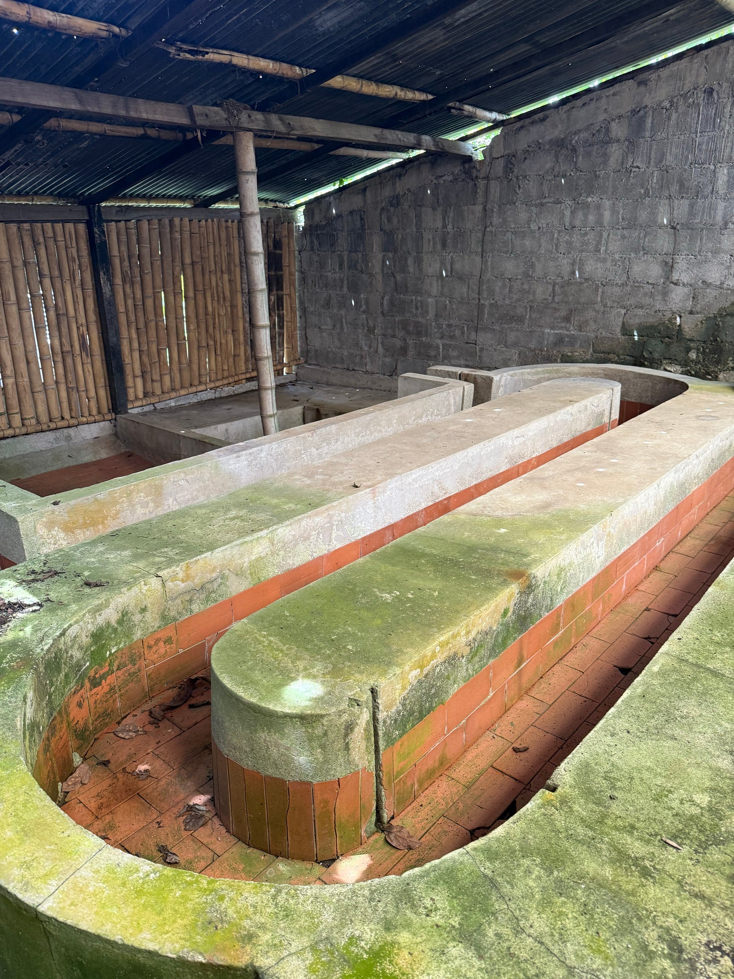 Colombia - Candy Blast - Watermelon Co Ferment (Swiss Water Process)
