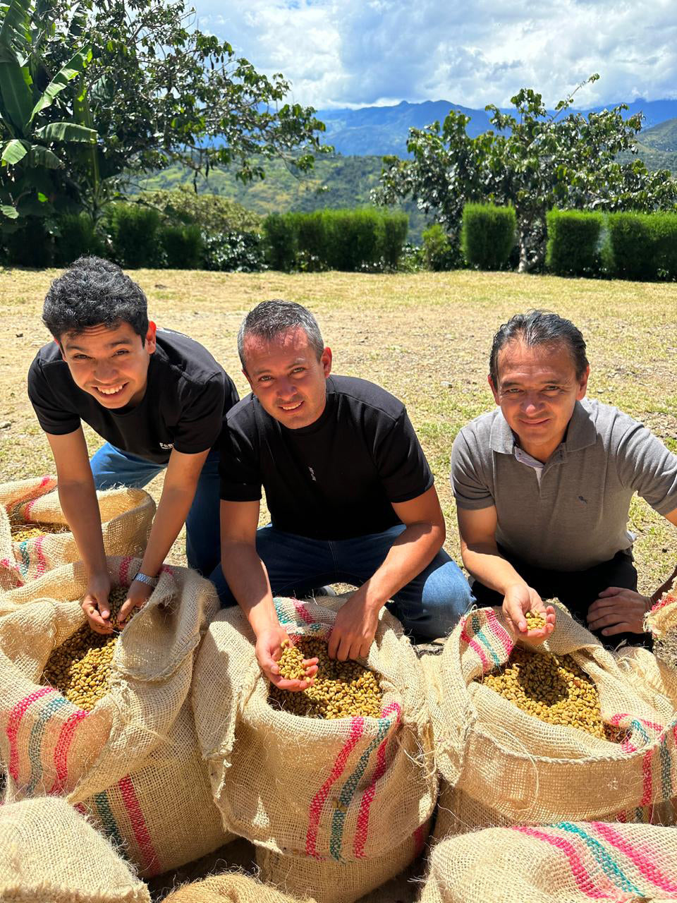 Colombia - Tropical Anaerobic Co Ferment (Swiss Water Process)