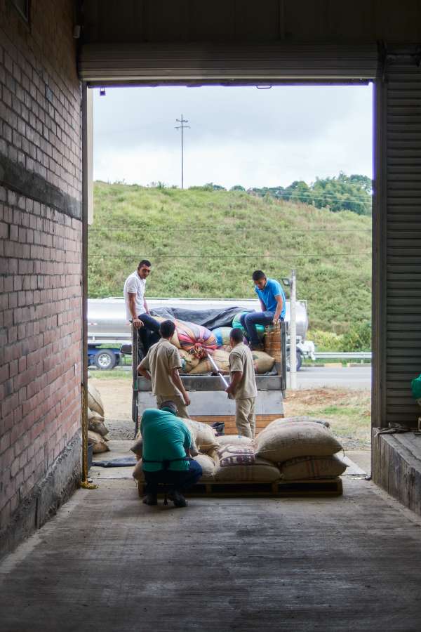 Colombia - Huila de Caña (Sugar Cane Decaf)