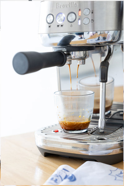 Decaf 3 Pack