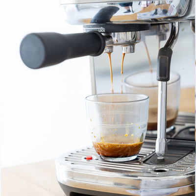 Decaf 3 Pack