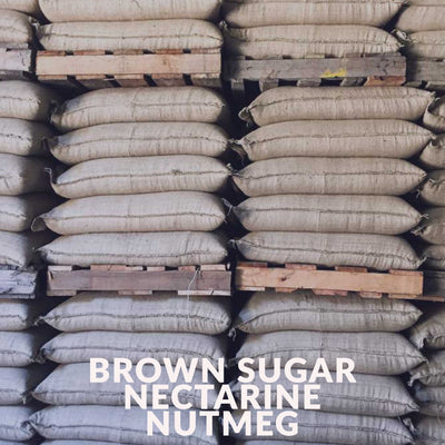 Colombia - Montaña Organic (Mountain Water Decaf)