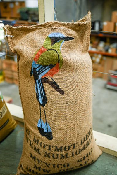 Mexico - Motmot Organic (Mountain Water Decaf)