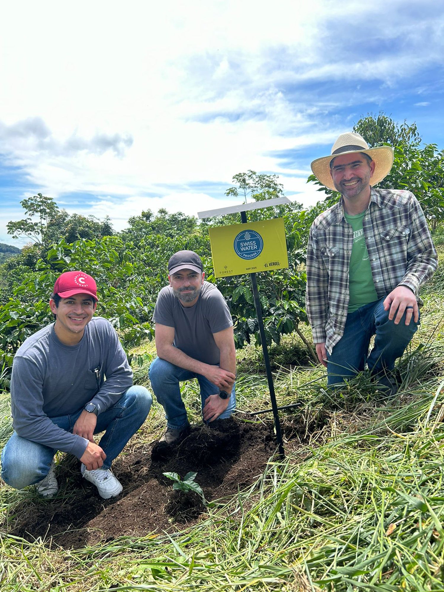 Colombia - Candy Blast - Watermelon Co Ferment (Swiss Water Process)