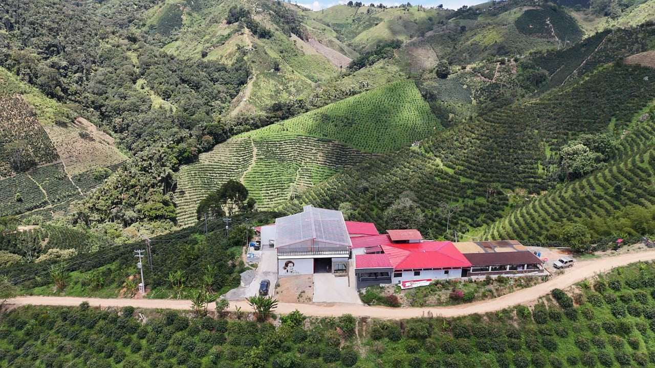 Colombia - Peñas Blancas - Pink Bourbon Anaerobic (Swiss Water Process)