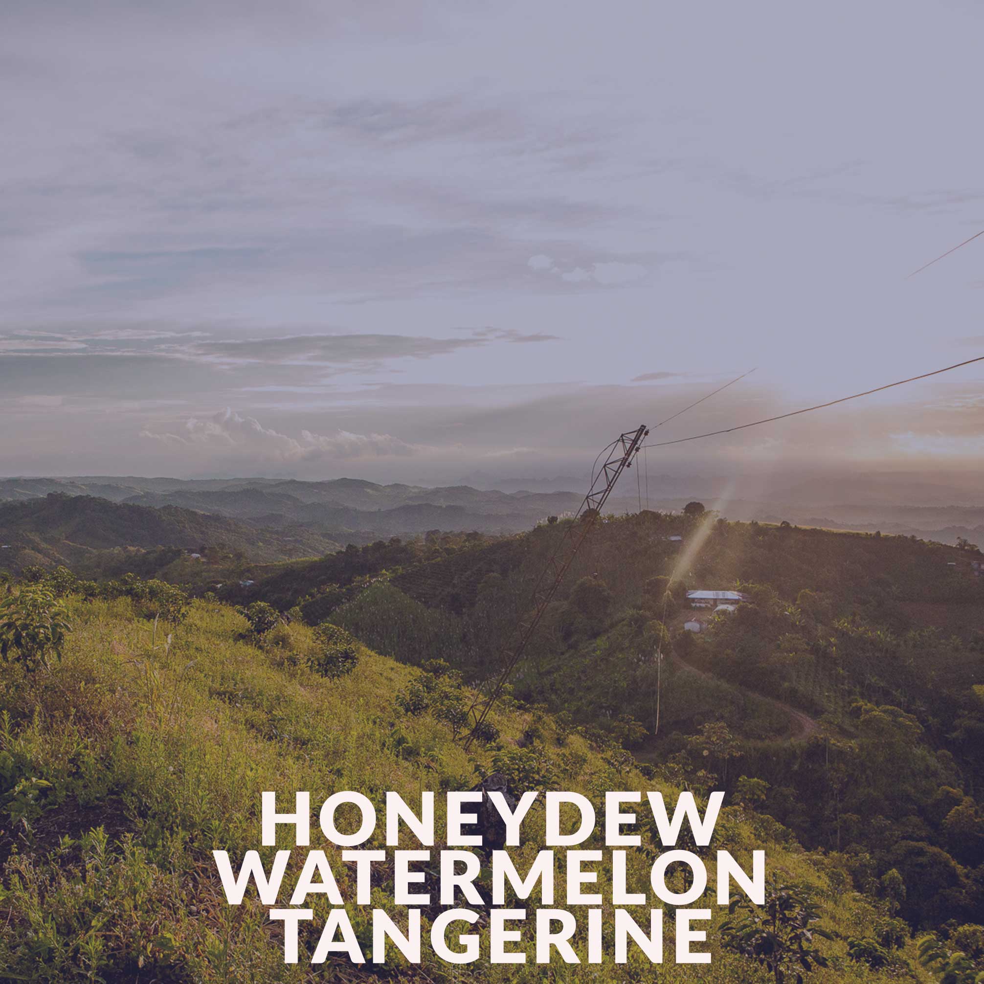 Colombia - Candy Blast - Watermelon Co Ferment (Swiss Water Process)