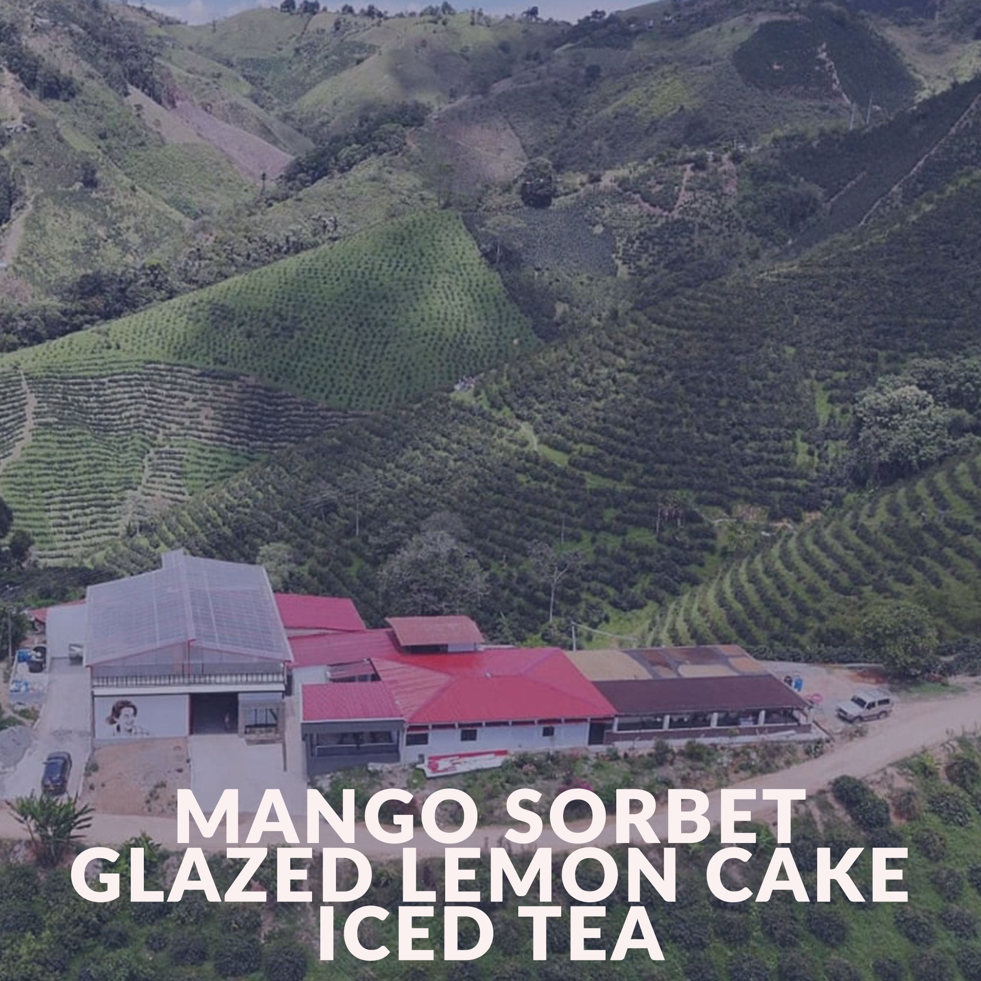 Colombia - Peñas Blancas - Pink Bourbon Anaerobic (Swiss Water Process)