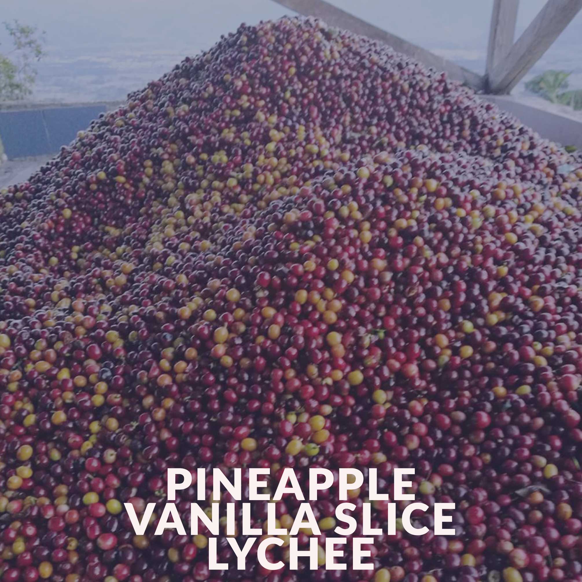 Colombia - Tropical Anaerobic Co Ferment (Swiss Water Process)