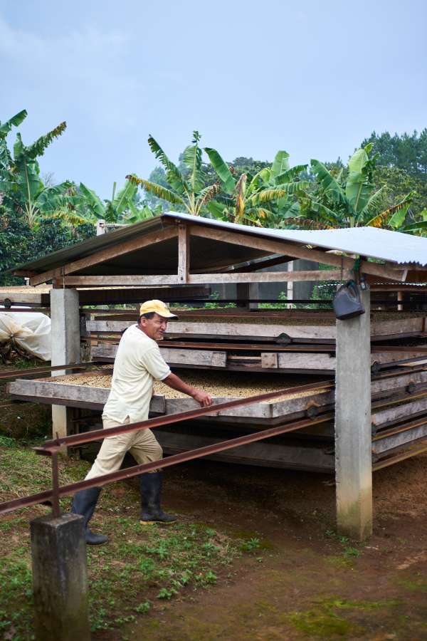 Colombia - Huila de Caña (Sugar Cane Decaf)