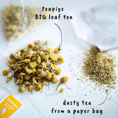 teapigs chamomile flowers - 50 biodegradable bags