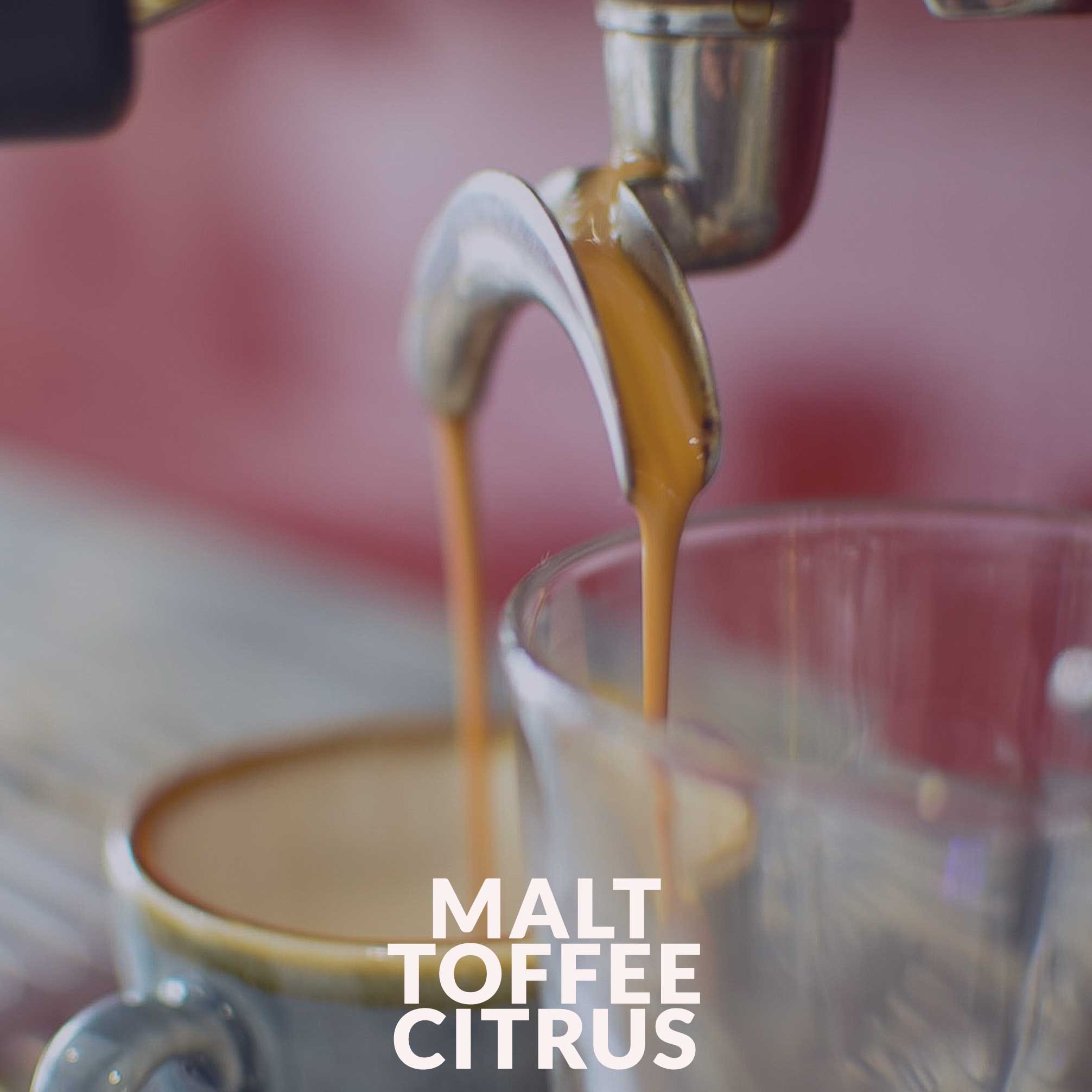 Mexico - Organic (Swiss Water Decaf)