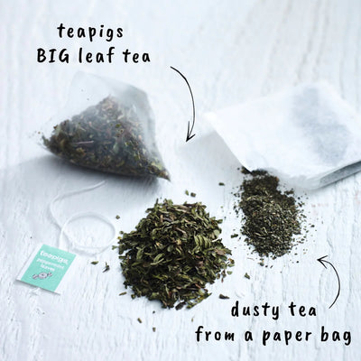 teapigs - Peppermint Leaves - 50 biodegradable bags