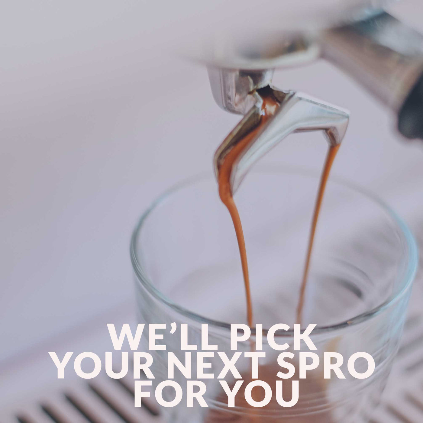 Decaf Co - Roasters Pick (ESPRESSO ROAST)